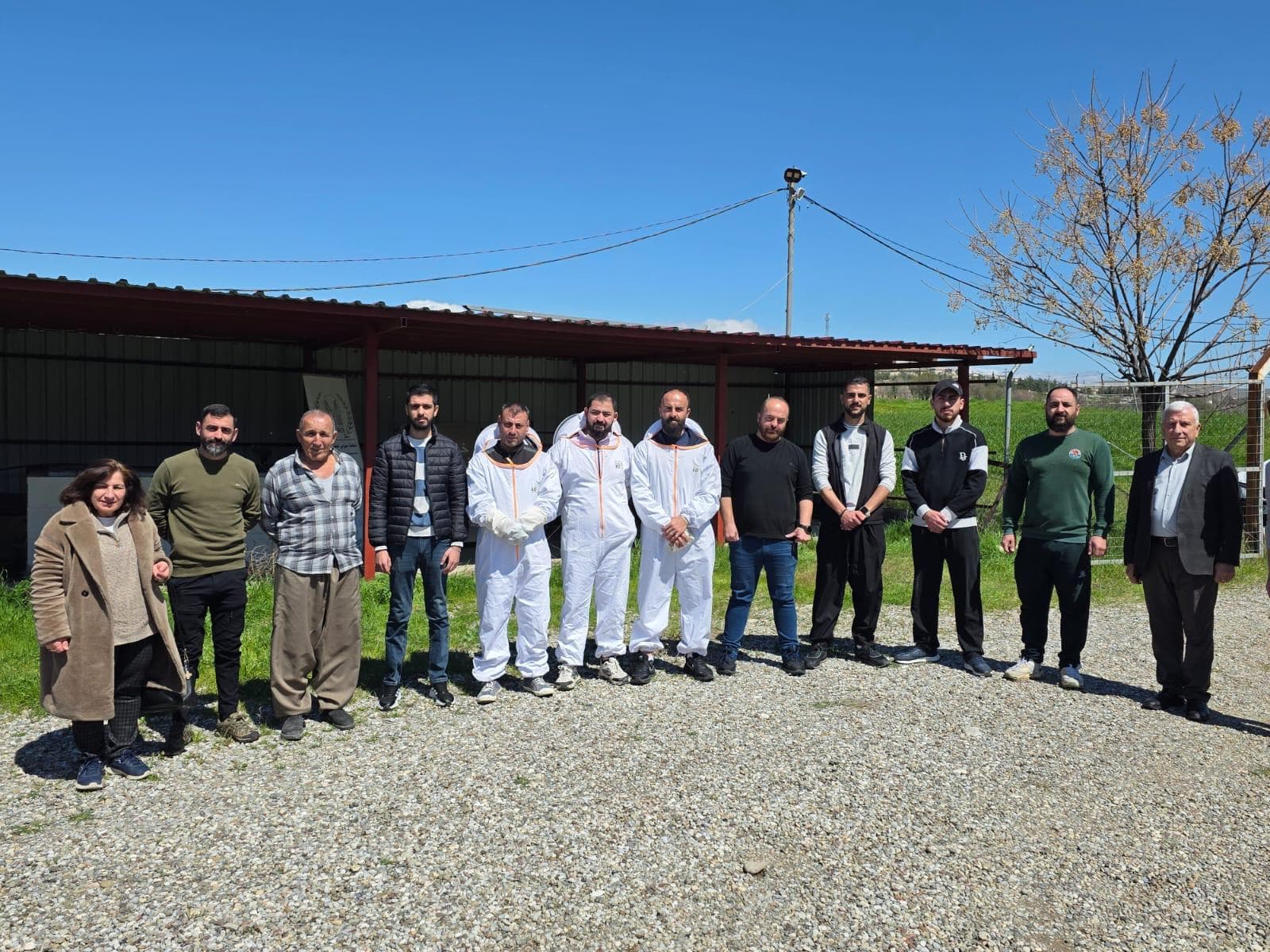 Bees – Dohuk
